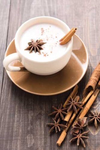 Fever Chai with Spicebush